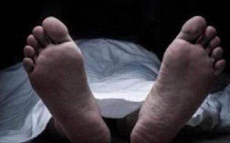 ആലപ്പുഴ നെടുമുടിയിൽ പമ്പയാറ്റിൽ നിന്ന് അസ്ഥികൾ കണ്ടെത്തി