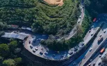 താമരശേരി ചുരം കയറുകയാണോ? മഴയിൽ റോഡിലേക്ക് മരങ്ങൾ വീണ് ​ഗതാ​ഗതം സ്തംഭിച്ചു