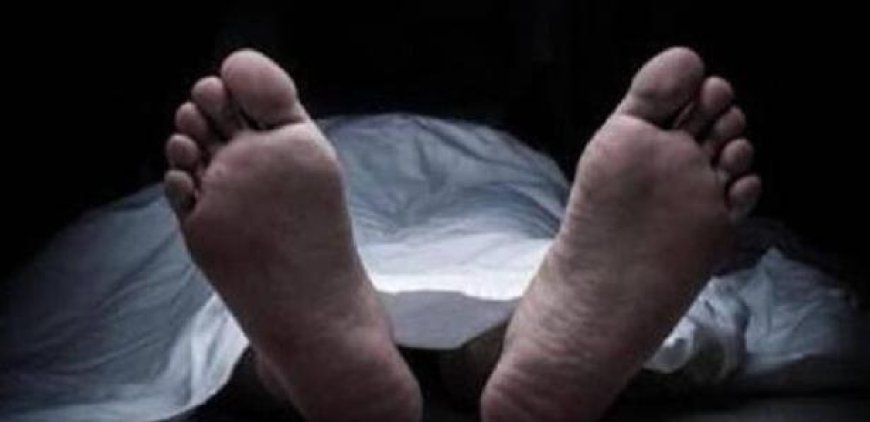 ആലപ്പുഴ നെടുമുടിയിൽ പമ്പയാറ്റിൽ നിന്ന് അസ്ഥികൾ കണ്ടെത്തി