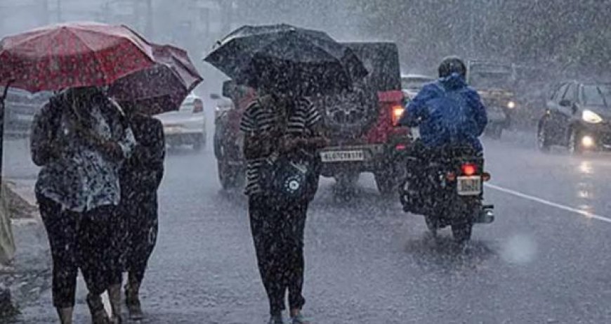 ഇനിയങ്ങോട്ട് എല്ലാ ​ദിവസവും മഴയാണ്; ഈ ജില്ലകളിൽ യെല്ലോ അലേർട്ട്