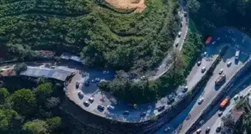 താമരശേരി ചുരം കയറുകയാണോ? മഴയിൽ റോഡിലേക്ക് മരങ്ങൾ വീണ് ​ഗതാ​ഗതം സ്തംഭിച്ചു