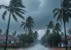 കാലവർഷമിങ്ങെത്തി; സംസ്ഥാനത്ത് ഇനി തോരാമഴ