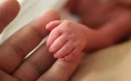 കോഴിക്കോട് അമ്മത്തൊട്ടിലിൽ പത്താമത്തെ അതിഥിയെത്തി; പരിസ്ഥിതി ദിനത്തോടടുത്ത് വീടണഞ്ഞ കുരുന്നിന് ‘ഹരിതാംശ്’ എന്ന് പേര്