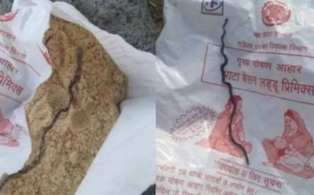 ഗർഭിണിക്ക് അങ്കണവാടി വഴി നൽകിയ പോഷകാഹാര പാക്കറ്റിൽ ചത്ത പാമ്പിൻ കുഞ്ഞ്; ഞെട്ടിക്കുന്ന സംഭവം മധ്യപ്രദേശിൽ, പ്രതിഷേധം