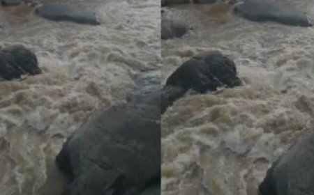 കോടഞ്ചേരി പതങ്കയം പുഴയിൽ ഒഴുക്കിൽപ്പെട്ട വിനോദ സഞ്ചാരികളെ രക്ഷിക്കാൻ ചാടിയയാൾക്കായി ​തെരച്ചിൽ ഊർജിതം