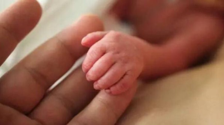 കോഴിക്കോട് അമ്മത്തൊട്ടിലിൽ പത്താമത്തെ അതിഥിയെത്തി; പരിസ്ഥിതി ദിനത്തോടടുത്ത് വീടണഞ്ഞ കുരുന്നിന് ‘ഹരിതാംശ്’ എന്ന് പേര്
