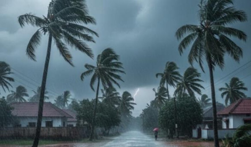 കാലവർഷമിങ്ങെത്തി; സംസ്ഥാനത്ത് ഇനി തോരാമഴ