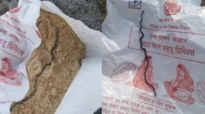 ഗർഭിണിക്ക് അങ്കണവാടി വഴി നൽകിയ പോഷകാഹാര പാക്കറ്റിൽ ചത്ത പാമ്പിൻ കുഞ്ഞ്; ഞെട്ടിക്കുന്ന സംഭവം മധ്യപ്രദേശിൽ, പ്രതിഷേധം