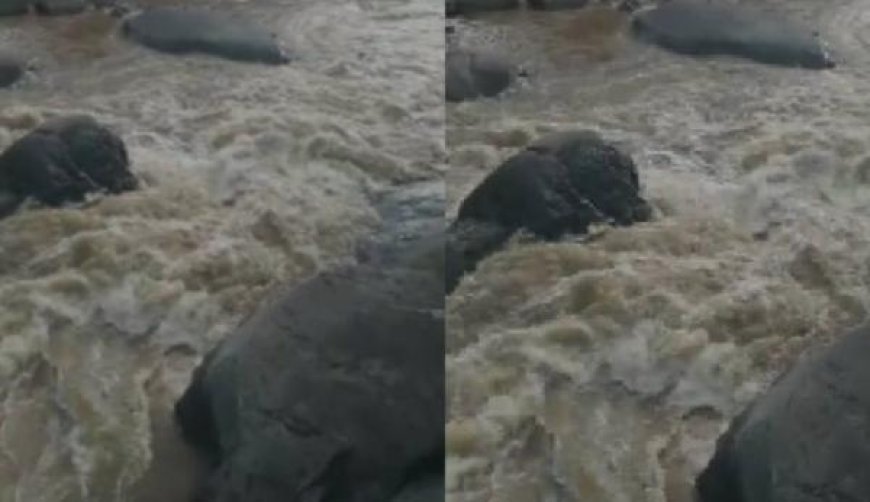 കോടഞ്ചേരി പതങ്കയം പുഴയിൽ ഒഴുക്കിൽപ്പെട്ട വിനോദ സഞ്ചാരികളെ രക്ഷിക്കാൻ ചാടിയയാൾക്കായി ​തെരച്ചിൽ ഊർജിതം