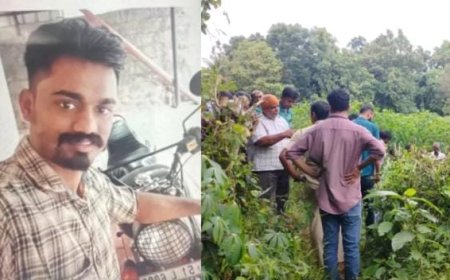 പാലക്കാട്‌ പന്നിക്ക് വച്ച കെണിയിൽപ്പെട്ട് യുവാവ് ഷോക്കേറ്റ് മരിച്ചു